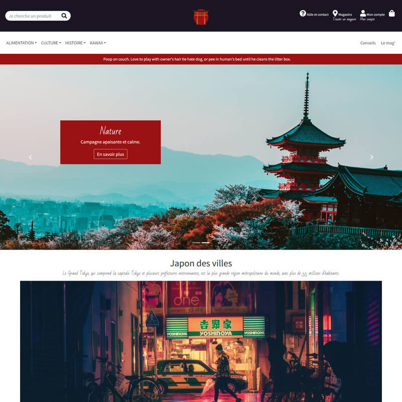 Javascript Japon Homepage