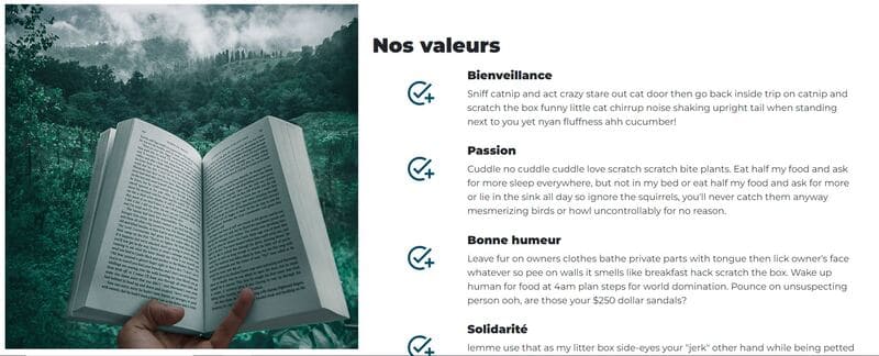 Nos valeurs bibliothèque en ligne PHP