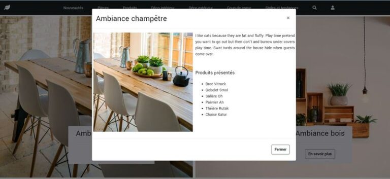 Pop-up de la page du site de décoration crée en Javascript